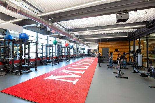 Staying Active in School and Sports: The Academic Benefits of Exercise