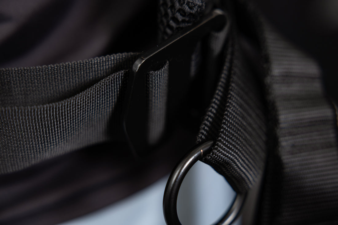 Close-up of the belt squat belt, g-hook mechanism, and o-ring