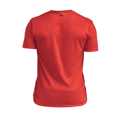 The REP Fitness Men's Daily Driver 2.0 Tri-Blend Crew T-Shirt in Heather Red/Black back