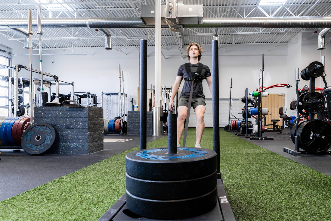 Person using Sled Harness to do a backwards pull with sled on turf in a gym setting.