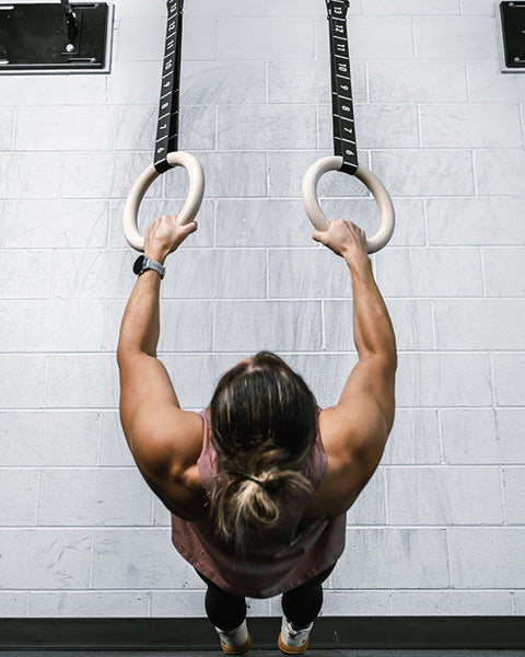 Training Accessories